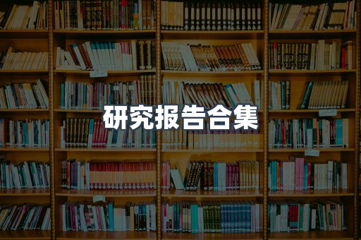 研究报告合集